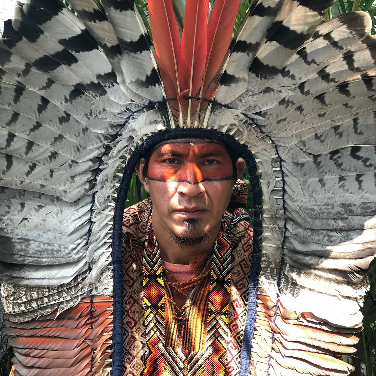 Xinu Yawanawa, cacique, portrait face avec coiffe de plumes d'aigle et peinture rituelle ocre