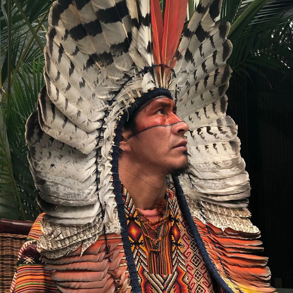 Xinu Yawanawa profil, regard levé vers le ciel, coiffe de plumes avec plume centrale rouge